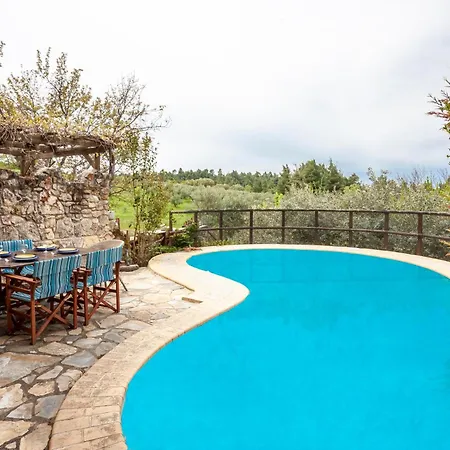 Forest Stone With Pool * 克里皮吉