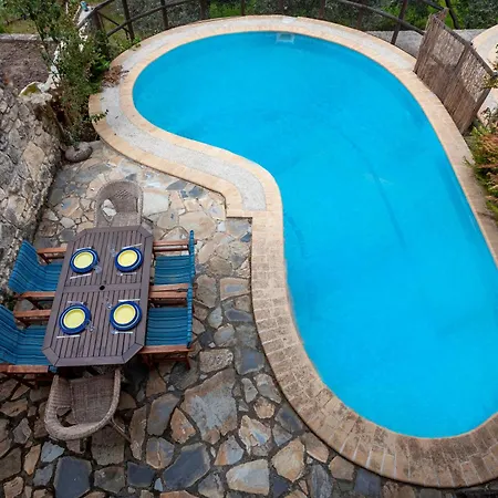 Forest Stone With Pool